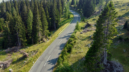 Aerial view captured by a drone showcasing the Alpine forest and a road