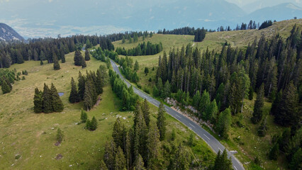 Aerial view captured by a drone showcasing the Alpine forest and a road - 633986781