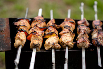 Shish kebab on skewers on the grill