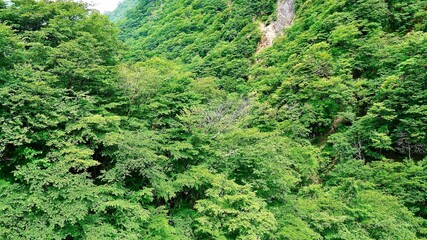 栃木県日光市の華厳ノ滝の反対側の渓谷