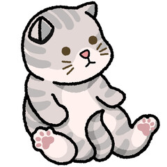 Fototapeta premium CAT25