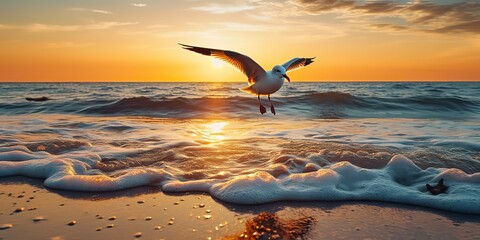 Fototapeta premium AI Generated. AI Generative. Beautifil sea nautical sunset beach island with seagull bird. Graphic Art