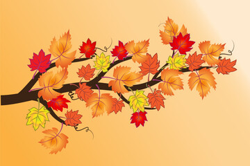Naklejka na ściany i meble Autumn maple tree colorful falling leaves seasonal background graphic illustration vector image design beautiful colors image template