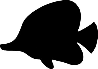 silhouette of a fish