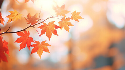 Naklejka na ściany i meble Autumn maple leaves background. AI