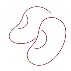 beans vegetable hand drawing line illustration 