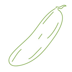 cucumber vegetable hand drawing line illustration 