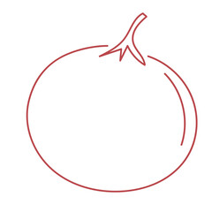 tomato vegetable hand drawing line illustration 