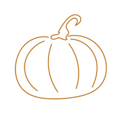 pumpkin vegetable hand drawing line illustration 