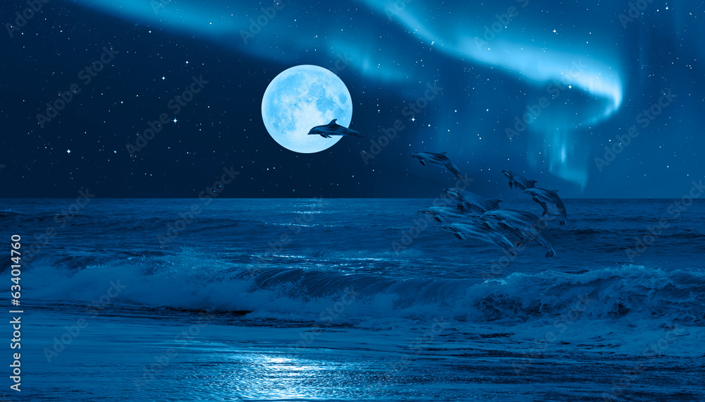 Poster Silhoutte of dolphins jumping up from the sea with blue full moon Aurora Borealis in the background 