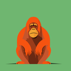 Orangutan animal logo vector illustration on green background © Adi
