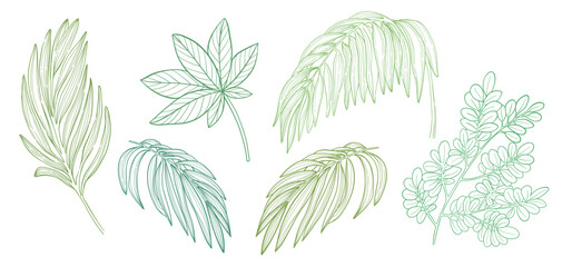 Set of green tropical palm leaves and branches. Vector illustration.