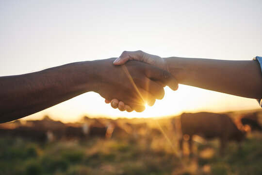 Welcome, handshake and people with b2b farm deal for agriculture, partnership or small business support. Thank you, shaking hands and farming collaboration for supply chain, trust and agro startup