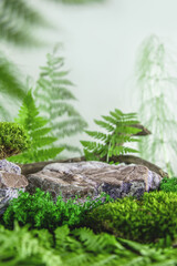 Natural rock podium with fern, stone and moss for product presentation.