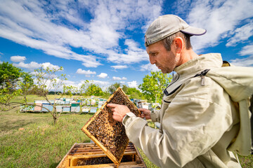 A man inspecting a beehive wearing a hat