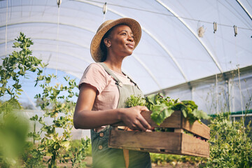 Smile, greenhouse and black woman on farm with vegetables in sustainable business, nature and sunshine. Agriculture, garden and happy female farmer in Africa, green plants and agro farming in field. - obrazy, fototapety, plakaty