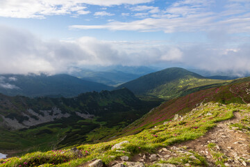 Fog and clouds over the slopes of the Carpathians in summer. Ukraine.
