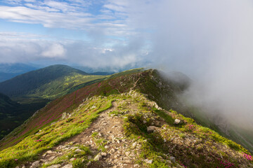 Fog and clouds over the slopes of the Carpathians in summer. Ukraine.
