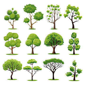 Various cartoon style trees pattern