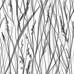 Seamless hand-drawn pattern. Blades of grass on a white background. A botanical motif. Design of fabric, wrapper, template.
