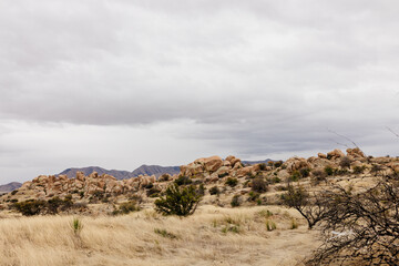 A beautiful landscape with a meadow with dry grass, bushes, large rocks and blue mountains in the background. Scenic American landscape on a cloudy autumn day