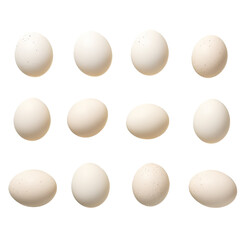Background of duck eggs