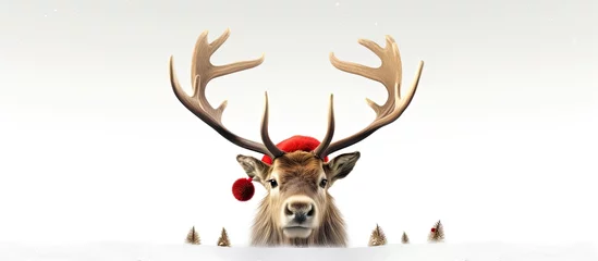 Papier Peint photo Motifs de Noël 3D Illustration of reindeer with red nose and Santa hat against white backdrop