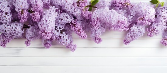 Mother s Day concept with lilac flowers on rustic white background top view