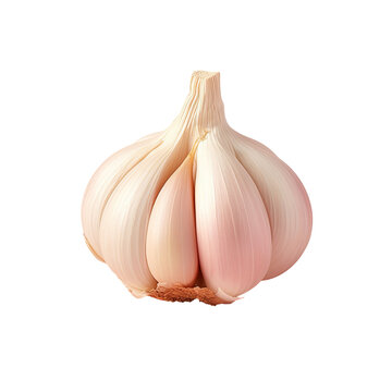 Garlic photo on transparent background