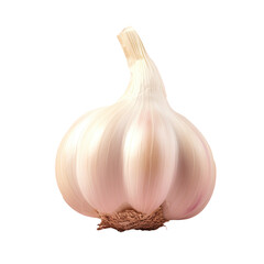 Garlic on transparent background
