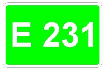 Illustration eines Europastraßenschildes der E 231 in Europa	