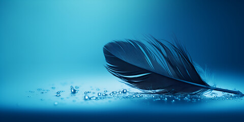 Silhouette of black bird feather with water drops on a blue turquoise background with beautiful lighting, 
Blue Feather Stock, Feather of a bird in droplets of water, generative Ai 