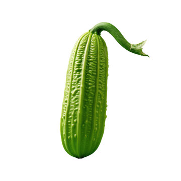 Bitter melon against transparent background