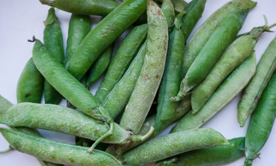 Organic green peas. Concept World Vegetarian Day.The background is filled with green pea pods.