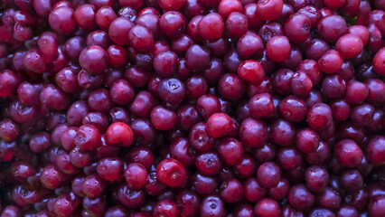Lots of ripe organic cherries. A flat cherry layout that fills the entire space.Background, banner with cherry.