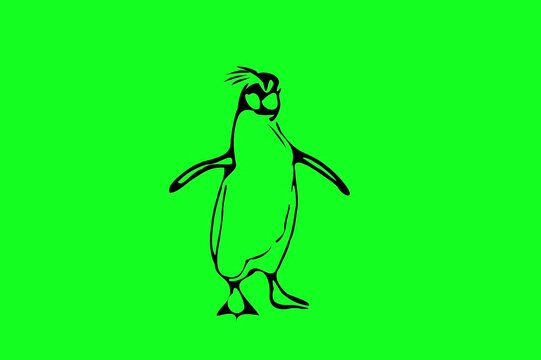 Greencreen video cartoon animal sketches walking and running	