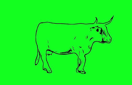 Greencreen video cartoon animal sketches walking and running	