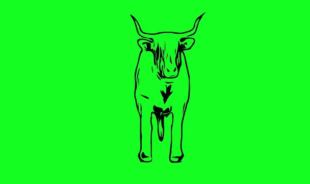 Greencreen video cartoon animal sketches walking and running	