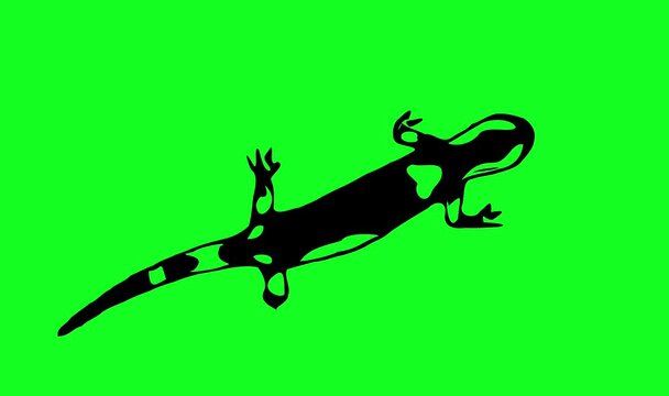 Greencreen video cartoon animal sketches walking and running	