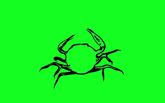 Greencreen video cartoon animal sketches walking and running	