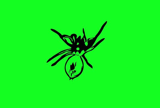 Greencreen video cartoon animal sketches walking and running	