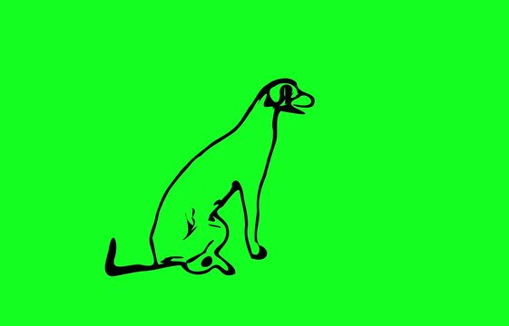 Greencreen video cartoon animal sketches walking and running	
