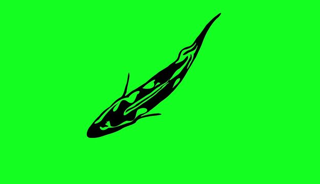 Greencreen video cartoon fish sketches was swimming