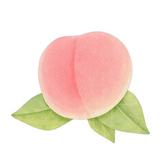 Peach Watercolor
