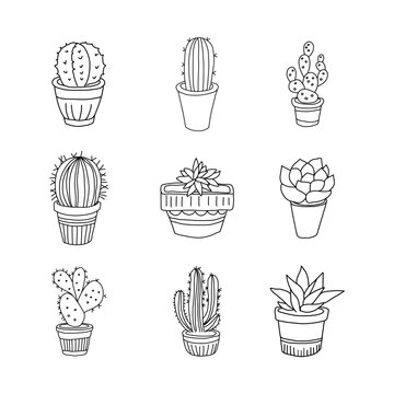 Succulents in pod. Doodle cactus set home plant coloring page design element