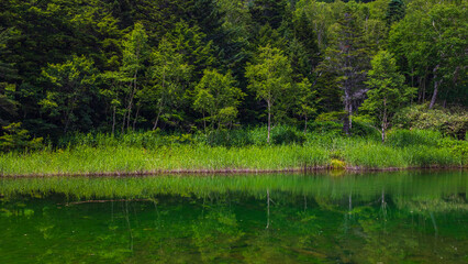 夏の牛池　群馬　万座温泉
