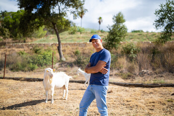 The farmer stands in front of walking goats.