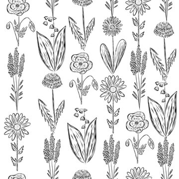Floral seamless pattern with wild field plants in sketch style
