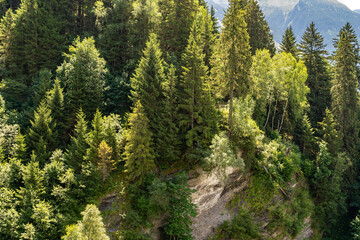 Fototapeta na wymiar Bad Hofgastein Höhenweg nach Bad Gastein | Kur- und Wintersportort | Gasteinertal in Österreich | Austria