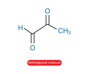 Methylglyoxal (pyruvaldehyde) molecule skeletal formula vector illustration.